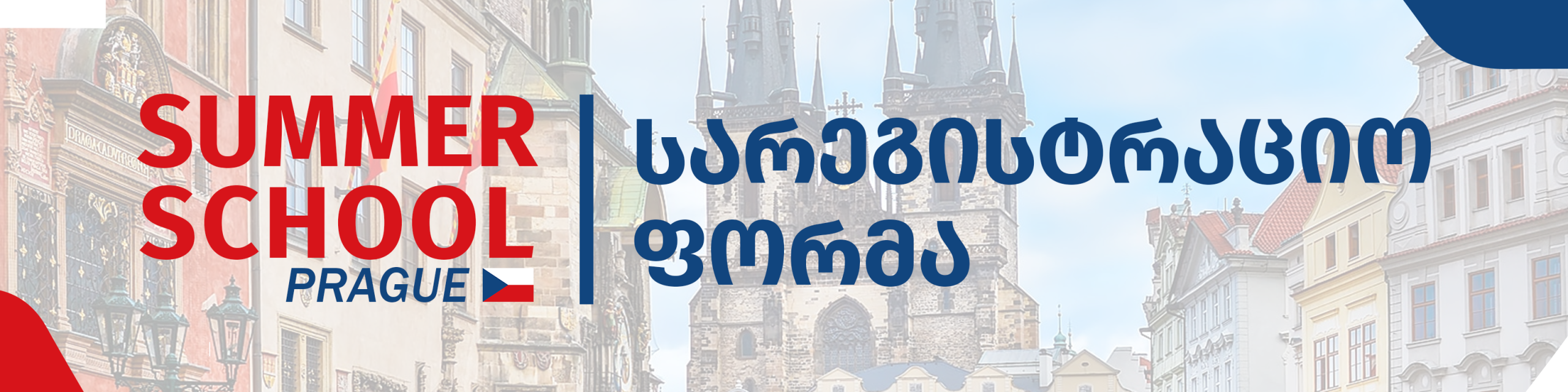 Prague Summer School 2025 - Registration Form