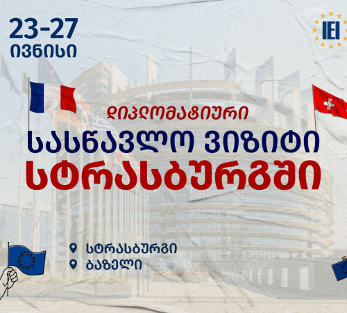 სასწავლო ვიზიტი სტრასბურგში